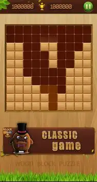 Wood Block Puzzle 1010 Screen Shot 3