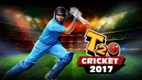 T20 Cricket Game 2017 Screen Shot 0