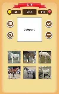 Horse Coat Colors Quiz Screen Shot 12