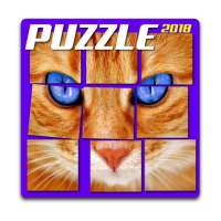 puzzle chien et chat