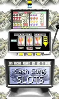 3D Cash Corgi Slots Screen Shot 0