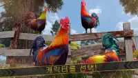 닭 싸움 수탉 Wild Rooster Run Screen Shot 5