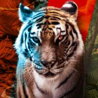 Animal Clash