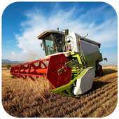 Farm wheat harvester puzzle