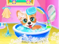 Corgi Pet Daycare Baby Puppy Nursery Screen Shot 2