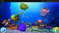 Color My Fish Demo Screen Shot 5