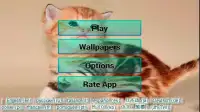 Cats and Kittens Puzzle Screen Shot 3