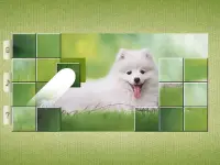 Dog Puzzles - Drag & Swap Screen Shot 7