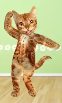 Dancing Cat Screen Shot 0