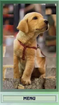 Dogs and puppies puzzle Screen Shot 0