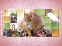 Little Animal Puzzles - Drag & Swap Screen Shot 18