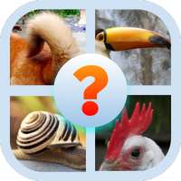 Animal Body Parts Quiz Game