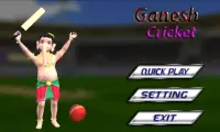 Ganesha Cricket Screen Shot 0