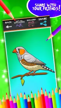 Birds Coloring Book Screen Shot 6