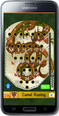 Bingo Pinball Dragon Screen Shot 0