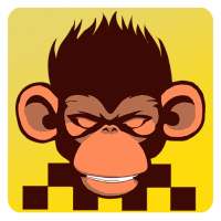 Taxi macaca 6