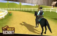 My horse hotel resorts : train & care horses Screen Shot 3