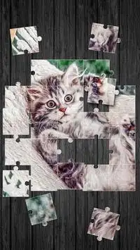 Schattige Katten Puzzelspellen Screen Shot 1