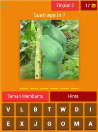 Tebak Nama Buah Screen Shot 9