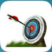 Archery Challenge