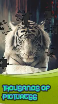 Jigsaw Puzzle Connect Screen Shot 1