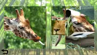 Zoo Puzzle 3D for kids Screen Shot 2