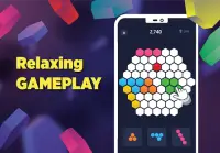 Hexa Go - Hexagon Puzzle Games Screen Shot 2