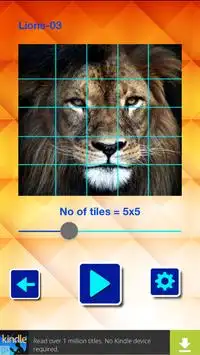 Lion and Big Cats-Puzzle Slide Screen Shot 2