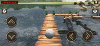 3D Balancer Ball:Extreme Game Screen Shot 2