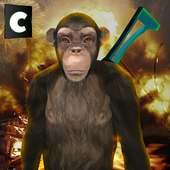 Apes Survival