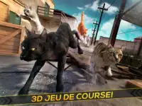 Chaton Simulateur 3D Gratuit Screen Shot 4