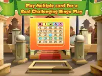 Bingo Games Free Screen Shot 1