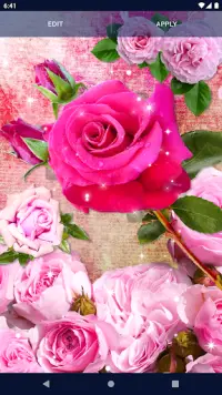 Pink Rose 4K Live Wallpaper Screen Shot 6