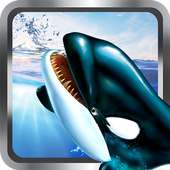 Baleia assassina simulador 3D