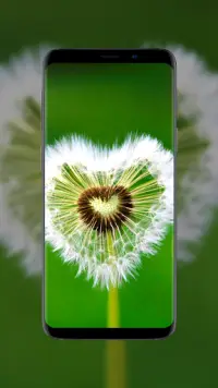 Flower Wallpapers in HD, 4K Screen Shot 6