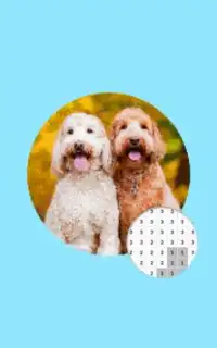 Photographie de chien couleur par nombre Pixel Art Screen Shot 2