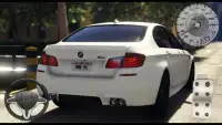 Driving BMW M5 - Competition Rides Screen Shot 3