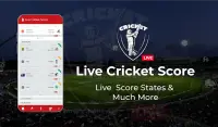 Live Cricket Match & Cricket Score: Live Score Screen Shot 5