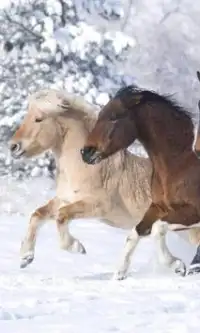 Horses Jigsaw Puzzle Game Screen Shot 2