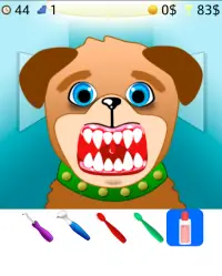 dentista per animali gioco Screen Shot 0
