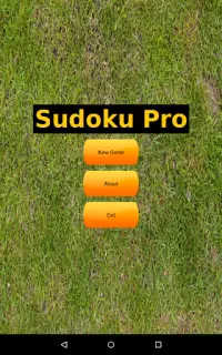 Sudoku Pro Free Screen Shot 4