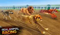 Real Safari Animal Racing Simulator - Wild Race 3D Screen Shot 0