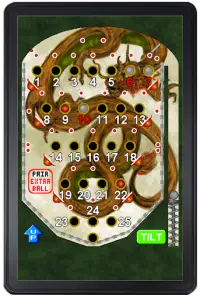 Bingo Pinball Dragon Screen Shot 3