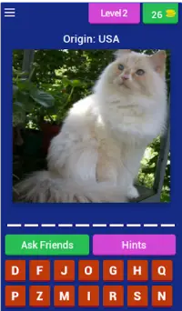 Cat Breed Quiz Game (Cat Game) Screen Shot 1