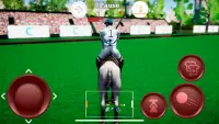 Polo Game Screen Shot 0