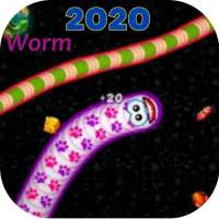 Worm Colections 2020 - Area Cacing Bermain
