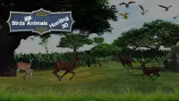 Birds & Animals Hunting 3D Screen Shot 0