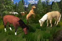 Ultimate Horse Simulator Games Screen Shot 3