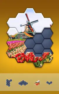 Block Hexa Puzzle - jigsaw puzzles for free Screen Shot 0
