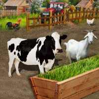 Cultivo de forragem de fazenda de animais